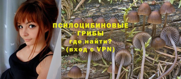 винт Остров