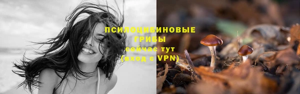 кокс Осташков