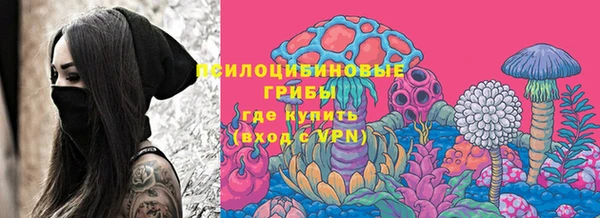 кокс Осташков