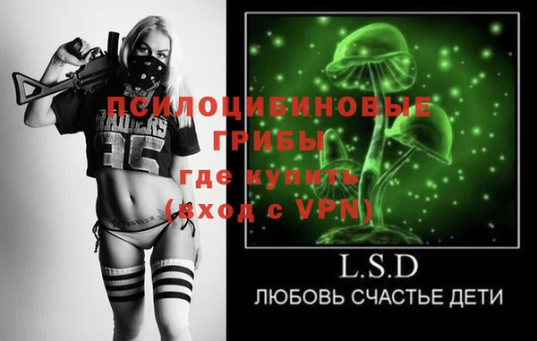 винт Осинники