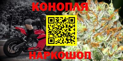 индика Донецк