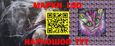 PSILOCYBIN Донской