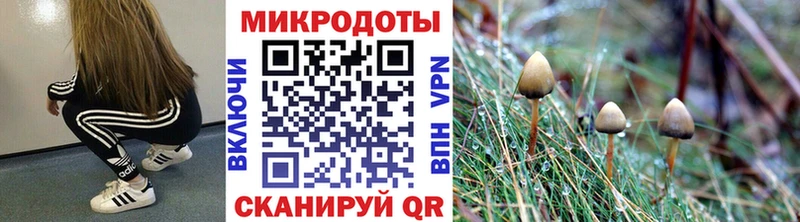 shop формула купить наркоту Шахты Галлюциногенные грибы GOLDEN TEACHER